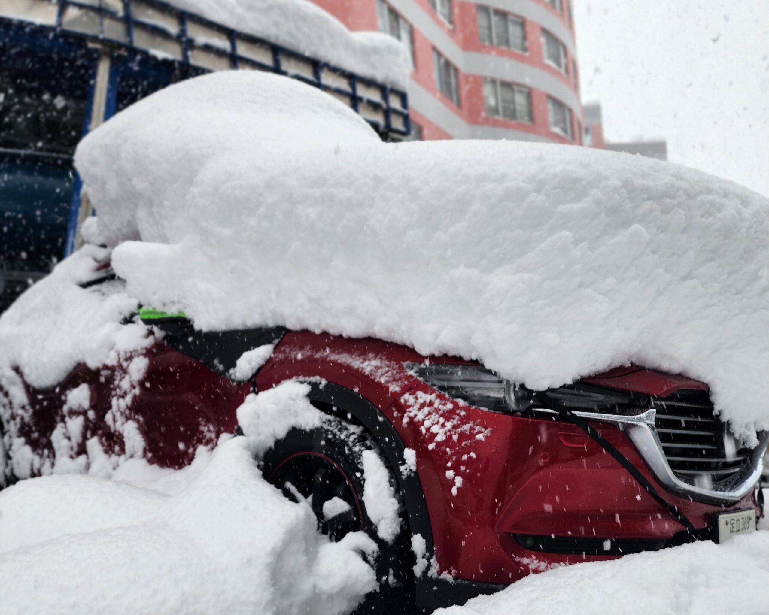 湯澤地區的野雪體驗，適合滑雪愛好者