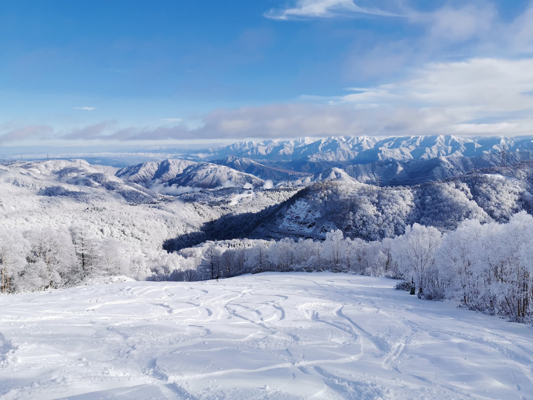 與主導嚮導「神樂 Gakuto」同行的野雪(BC)行程:圖片 3